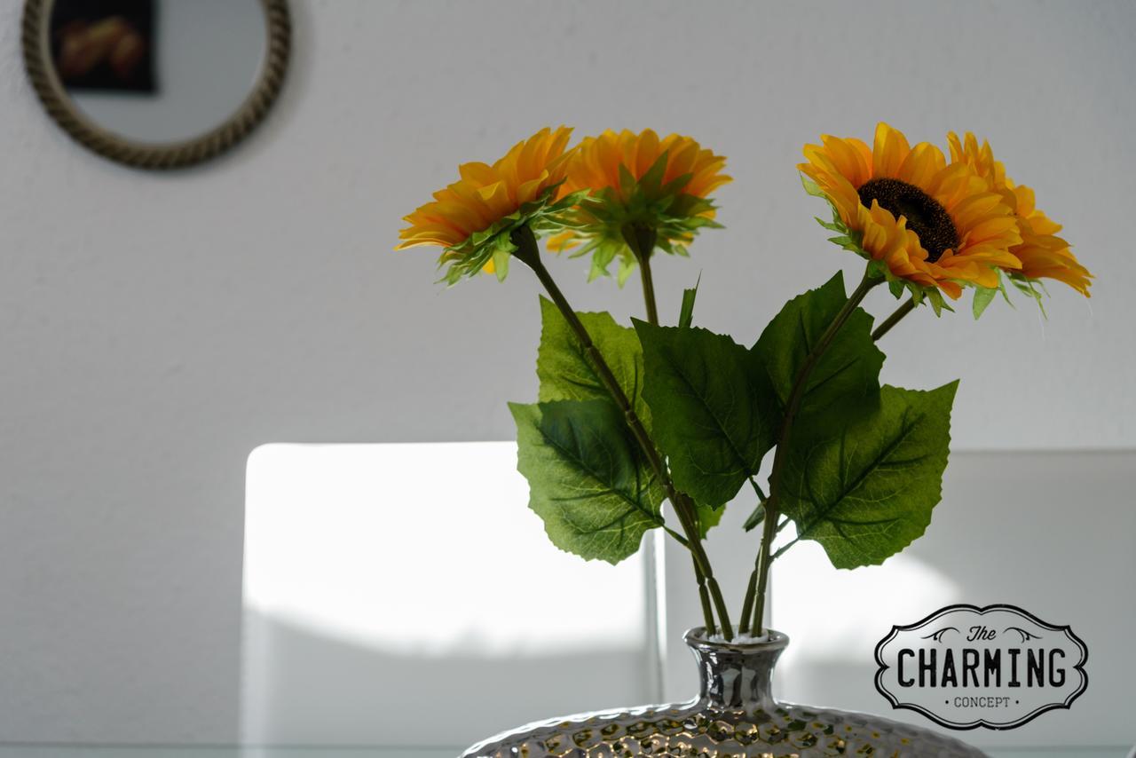 Charming Argensola Center - Estancias Temporales มาดริด ภายนอก รูปภาพ